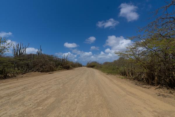 De weg naar Lac Cai gaat via Kaminda Sorobon en vervolgens links op Kaminda Lac, net voor Red Palm Village. De weg is recht, maar erg hobbelig, dus rijd voorzichtig. Dit is de belangrijkste route voor toeristen naar het rustige strand en de kalme lagune van Lac Cai.