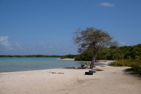 Geniet van een ontspannen middag bij Lac Cai, een rustig strand aan de rand van Lac Bay. Het kalme, kristalblauwe water is perfect om te zwemmen, snorkelen of gewoon lekker bij het water te ontspannen en te genieten van het uitzicht op de mangroves.
