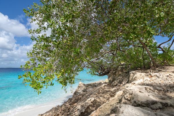 Naast prettige schaduw en een beetje privacy liggen je spullen hier prettig uit de golven en blijft alles droog. Ook heb je hier toegang tot de zee.