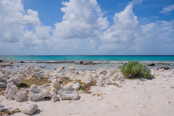 Ik ga het water in net achter het struikje op deze foto; dit is de makkelijkste entry en exit van deze duikstek.